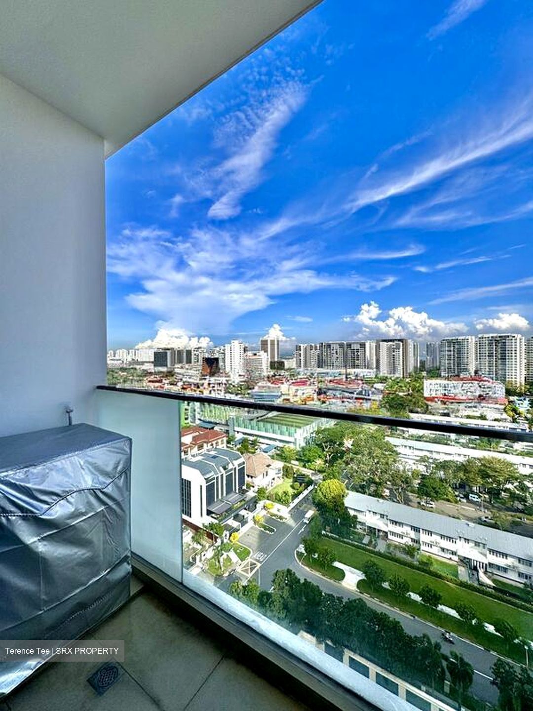 Haig 162 (D15), Apartment #501990381